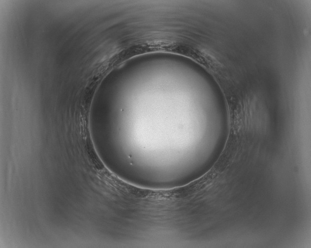 X0000062670917200512281735