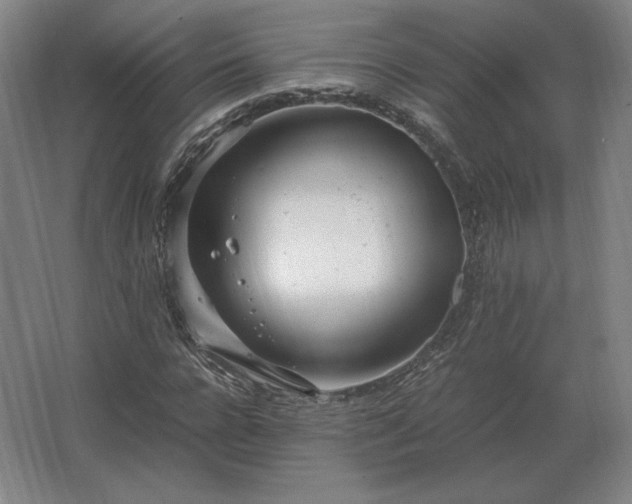 X0000062670920200512281735