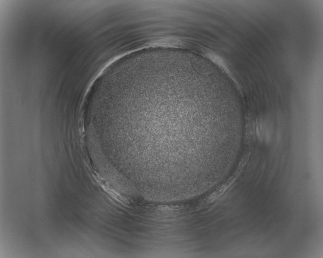 X0000062670923200512281735