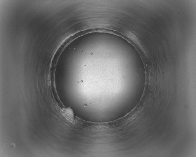 X0000062670924200512281735