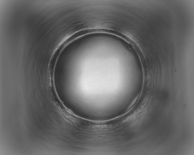 X0000062670925200512281735