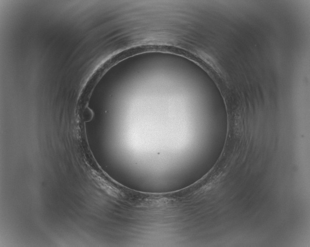 X0000062670926200512281735