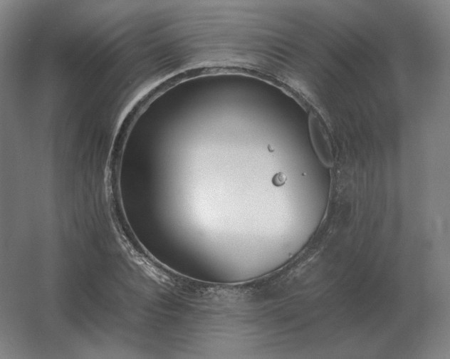 X0000062670928200512281735