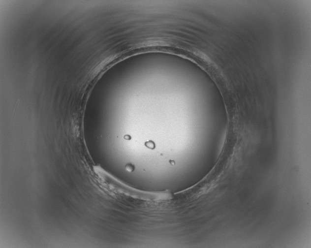 X0000062670929200512281735