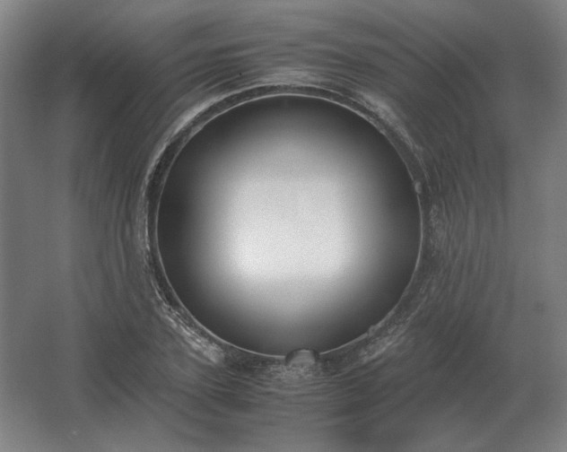 X0000062670931200512281735