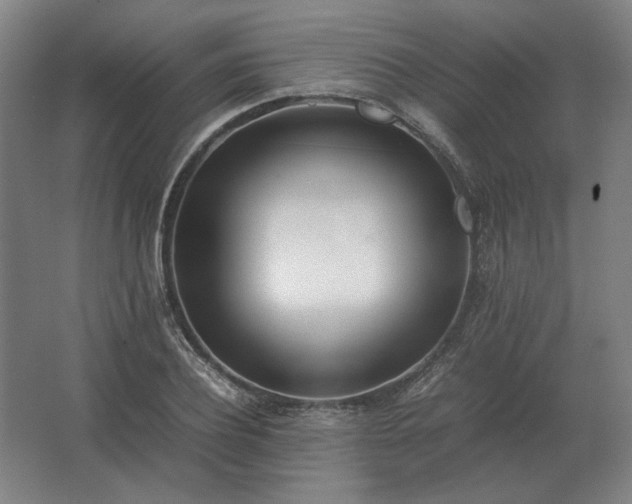 X0000062670932200512281735