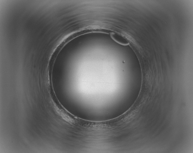 X0000062670934200512281735