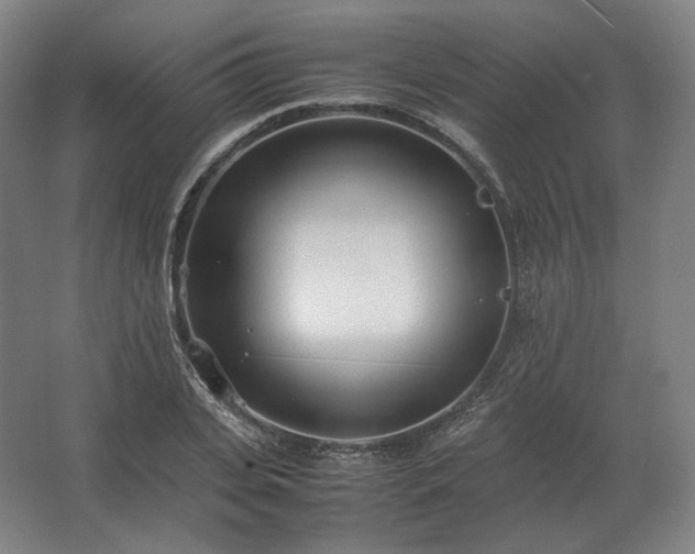 X0000062670935200512281735