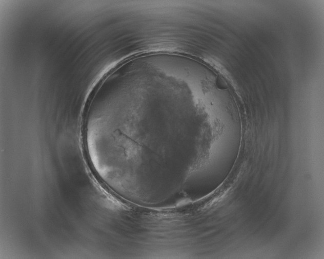 X0000062670941200512281735