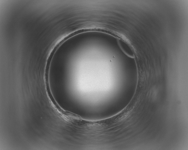 X0000062670943200512281735