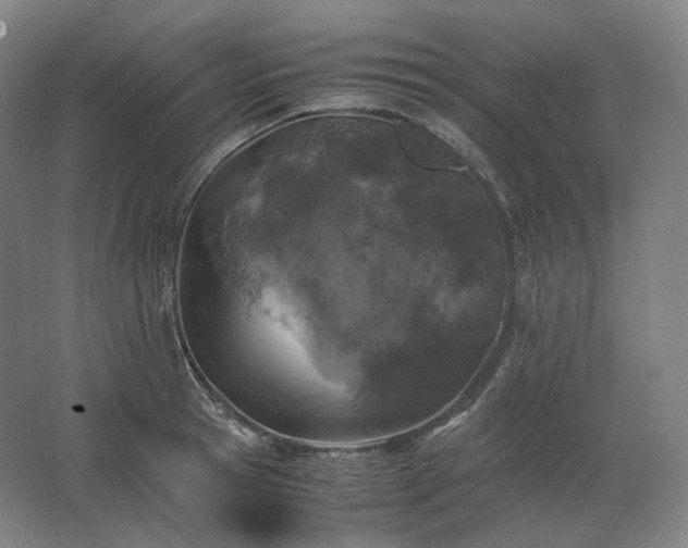 X0000062670945200512281735