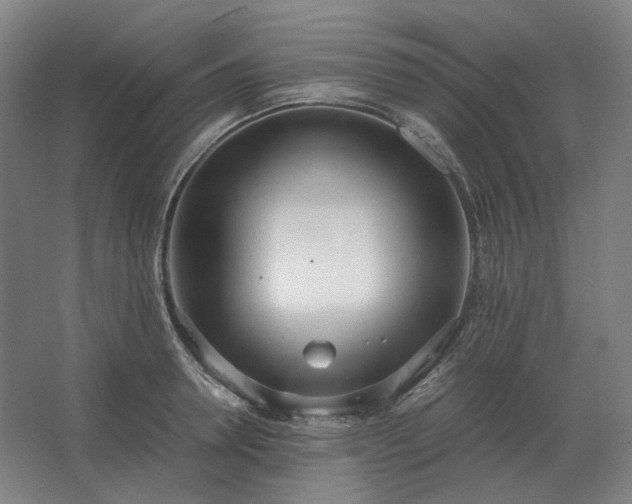 X0000062670946200512281735