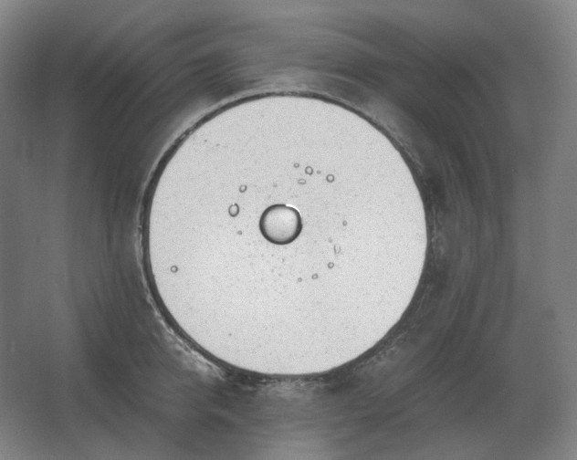 X0000062670950200512281735