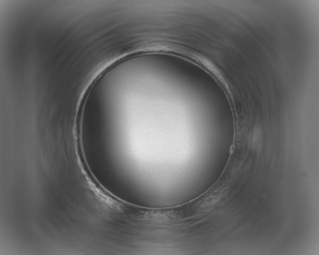 X0000062670951200512281735