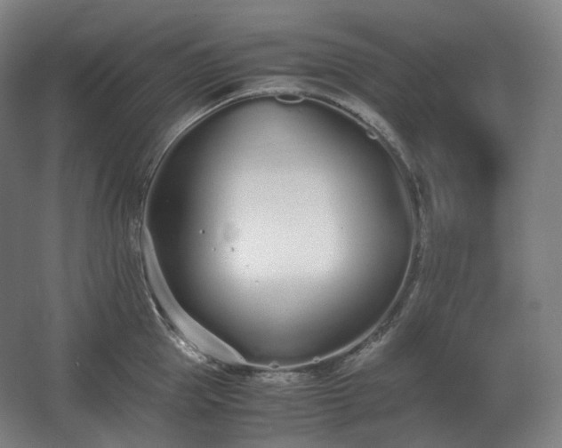 X0000062670953200512281735