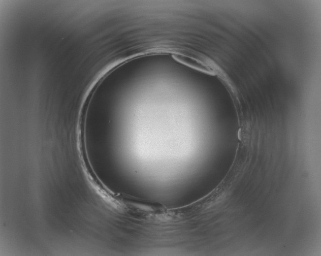 X0000062670955200512281735