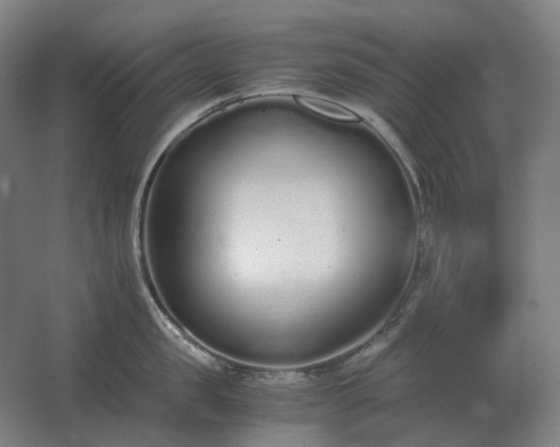 X0000062670957200512281735