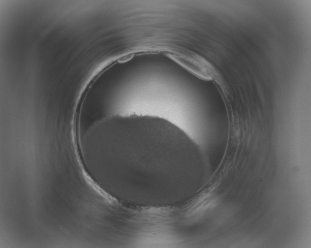 X0000062670958200512281736