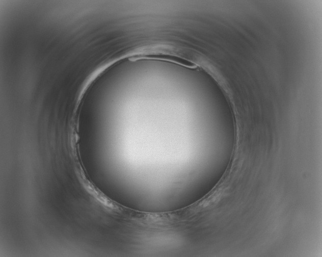 X0000062670960200512281736