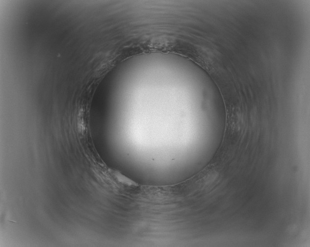 X0000062670962200512281735