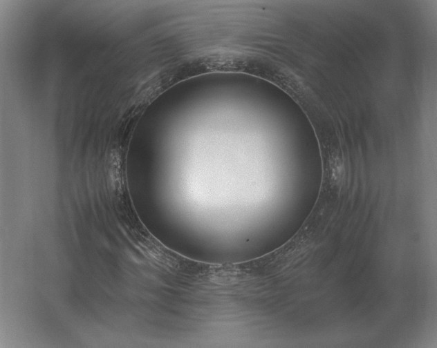 X0000062670964200512281735