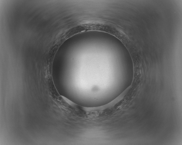 X0000062670965200512281735