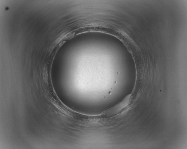 X0000062670969200512281735