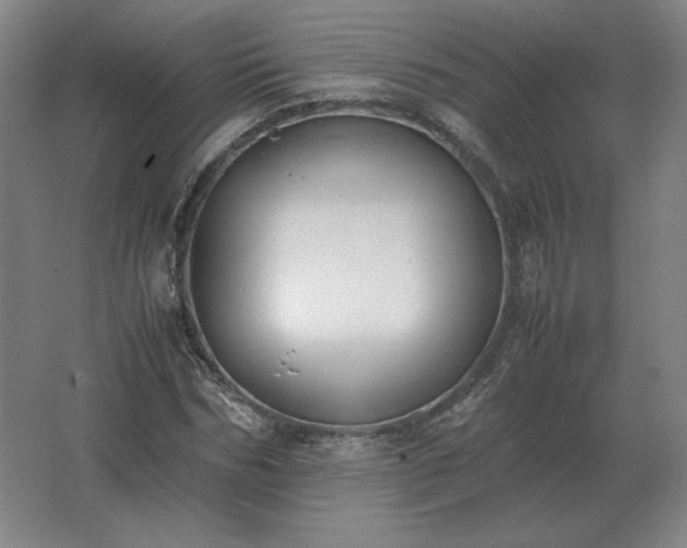 X0000062670970200512281735