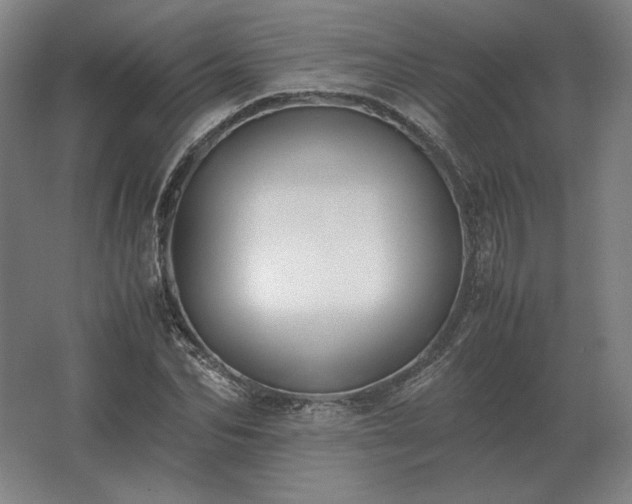 X0000062670974200512281735