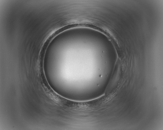 X0000062670975200512281734