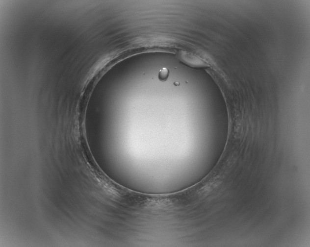 X0000062670978200512281734