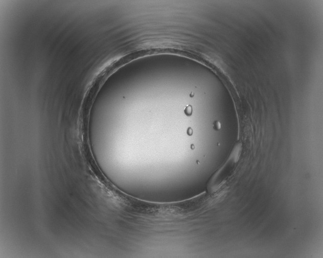 X0000062670979200512281734