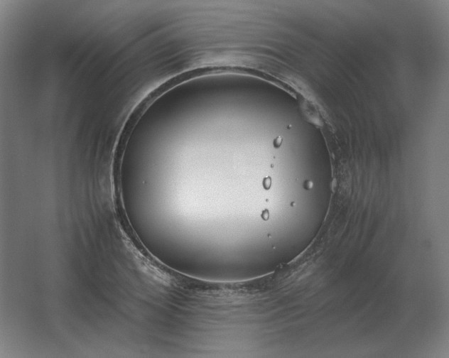 X0000062670980200512281734