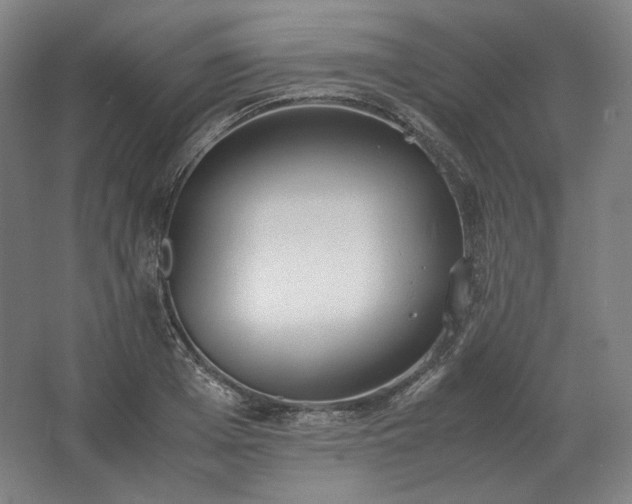 X0000062670985200512281734