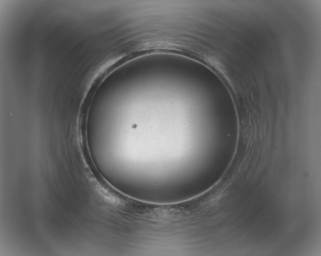 X0000062670987200512281734