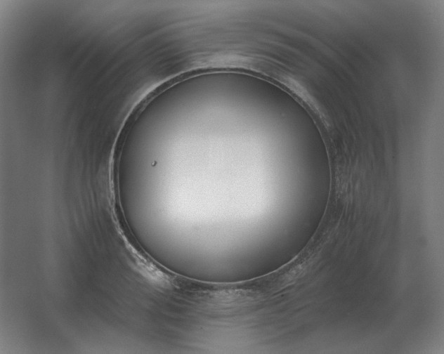 X0000062670988200512281734