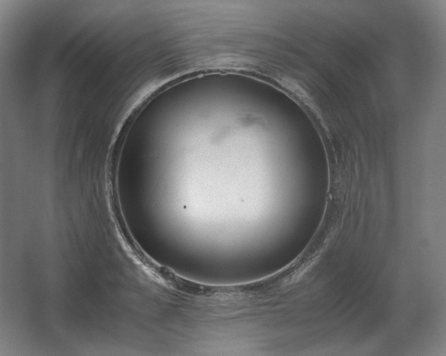 X0000062670989200512281734