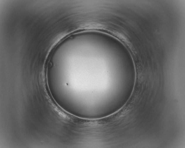 X0000062670990200512281734