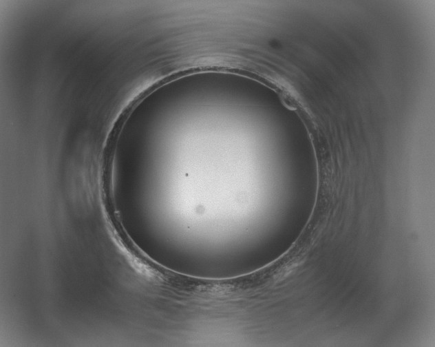 X0000062670991200512281734