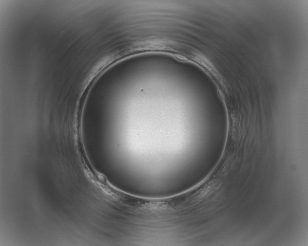 X0000062670994200512281734