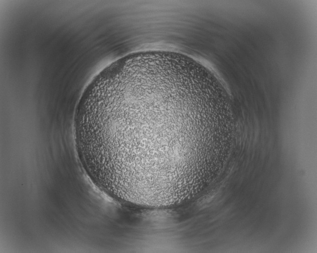 X0000062670998200512281734