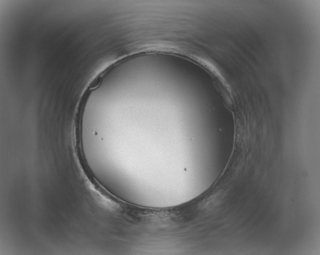 X0000062670999200512281734