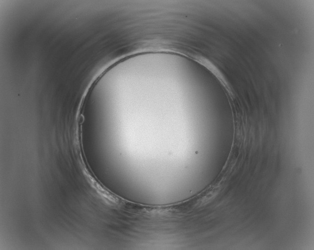 X0000062671004200512281734