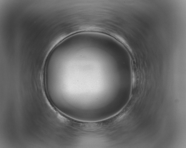 X0000062671007200512281734