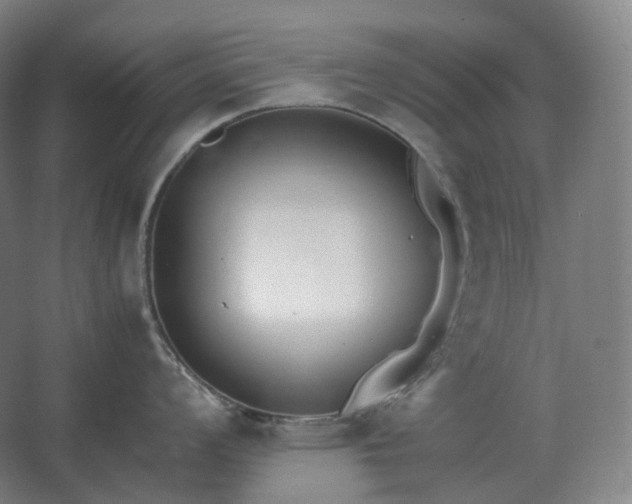 X0000062671008200512281734