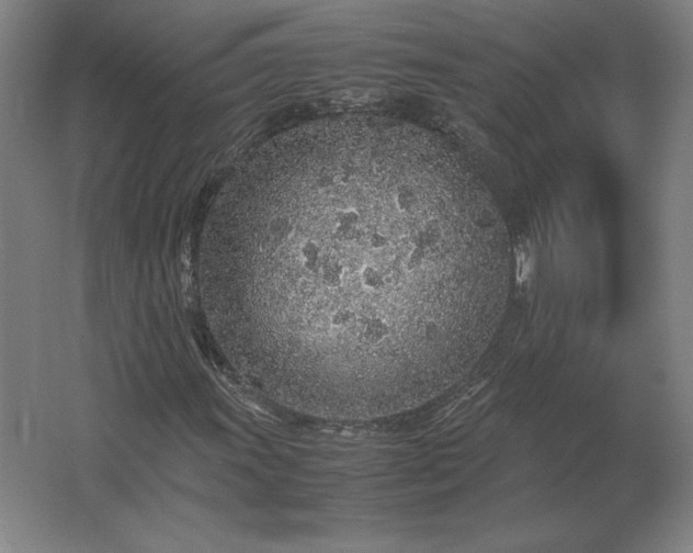 X0000062671011200512281733