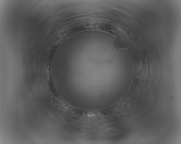 X0000062671013200512281733