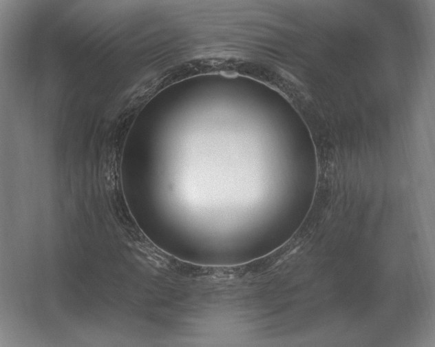 X0000062671014200512281733