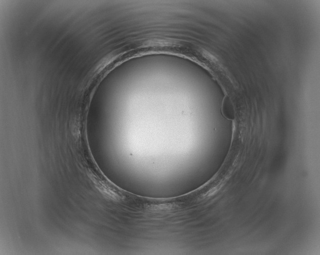 X0000062671017200512281733