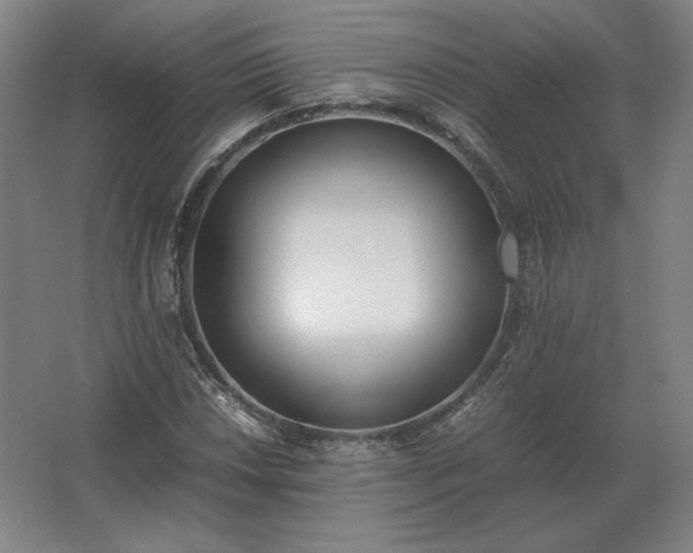 X0000062671018200512281733